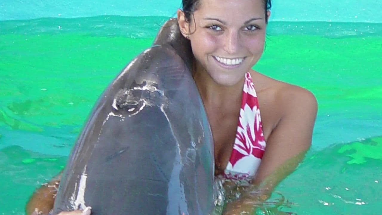 Setkání s delfíny v Ocean World, Puerto Plata — Guided tour and outdoor activity