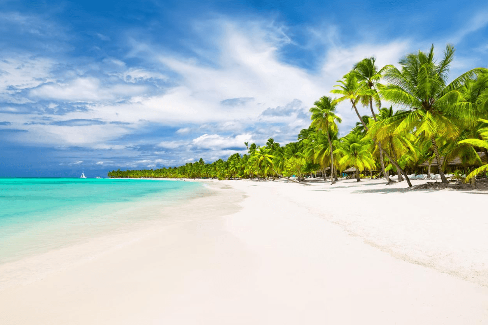 Guía de viaje de Isla Saona: planifique su visita - Punta Cana Tours Guide Guide