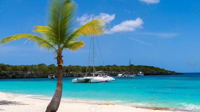 Punta Cana: Catalina Island Catamaran, Lunch and Snorkel â Guided tour and outdoor activity