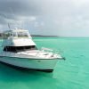 Pivate boat Saona Island Day Trip with Snorkeling and Lunch - Bild 15