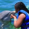 Punta Cana Dolphin Swim Adventure: 40-min Dolphin Experience - obrazek 20