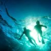 Punta Cana: Catalina Island Scuba Diving Day Trip - Bild 5