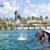 Punta Cana Dolphin Swim Adventure: 40-min Dolphin Experience - obrazek 5