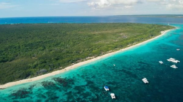 Punta Cana: Catalina Island Scuba Diving dagsutflykt