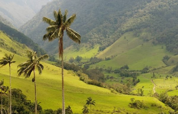 Punta Cana: Wycieczka piesza w góry Anamaya z degustacją
