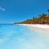 Full day Saona Island adventure - Image 6