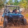 Punta Cana: Off-road Buggy Adventure in the Jungle - Afbeelding 6