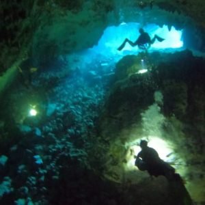 Bayahibe - Cenotes Scuba Diving - Godive Bayahibe