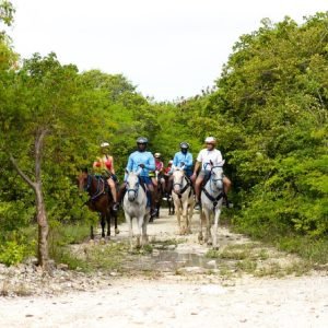 Caballo a nado desde Punta Cana