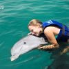 Punta Cana Dolphin Swim Adventure: 40-min Dolphin Experience - obrazek 7