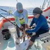 From Punta Cana: Deep Sea Fishing Tour by Boat with Drinks - Image 8