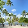 Punta Cana: Cayo Levantado & Bacardi Island Trip with Lunch - immagine 3