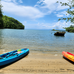 Los Haitises Kayak & Caño Hondo Pools – Private Tour From Miches