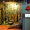 Puerto Plata Tour: History, Culture and Cable Car Ride - Bild 2