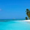 Punta Cana: Catamaran Boat to Saona Island with Buffet Lunch - Image 2