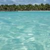 Punta Cana: Saona Island All-Inclusive Day Trip - obrazek 2