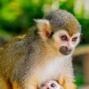 Samaná: Monkeyland and Open-Air Safari Truck Tour - Image 2