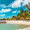 From Punta Cana: Full-Day Saona Island Excursion - Image 2