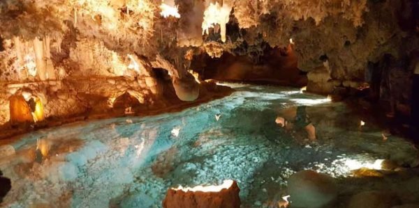 Punta Cana: Dominikanske smagsoplevelser - guidet dagstur