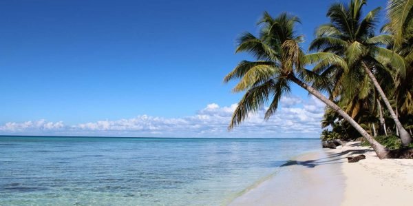 Punta Cana: Catamarán a la Isla Saona con Almuerzo Buffet