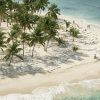 From Punta Cana: Samana Cayo Levantado / Whales - Image 3