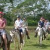 Horseback Riding Tour of Punta Cana - Image 3