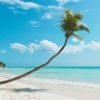 From Punta Cana: Full-Day Saona Island Excursion - Image 4