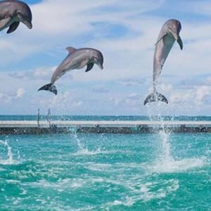 Juhlavene Punta Canassa ja juomat mukaan lukien