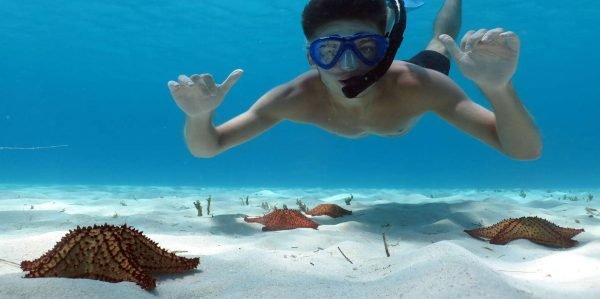 Excursión a la Isla Saona desde Punta Cana