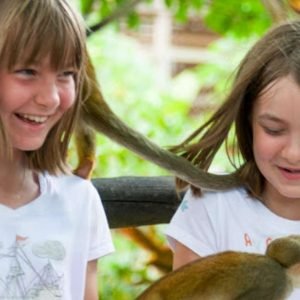 Traslados y taxis Monkey land en puerto plata