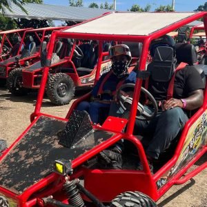 Buggy for 2