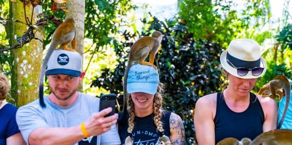 Samaná: Monkeyland and Open-Air Safari Truck Tour