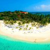 Whale Watching + Cayo Levantado Freedom - Image 9