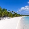Punta Cana: Saona Island Full Day With Catamaran and Buffet - Image 10