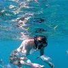 From Punta Cana: Private Catamaran Catalina Island Full-Day - Image 6