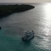 From Punta Cana: Private Catamaran Catalina Island Full-Day - Image 8
