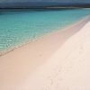 Bahía de las Aguilas: Beach Day Trip by Boat - Image 8
