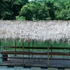 Full day buggy Safari with lunch and Chavon River Tour - Image 9