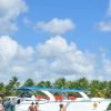 Full-Day Saona Island Tour by Speedboat - Image 10