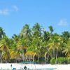 Punta Cana: Saona Island All-Inclusive Day Trip - obrazek 10